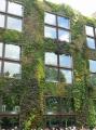 Paris  -  musee du quai Branly  -  Exterieur  - le mur vegetal quai branly exterieur musee quai branly 075